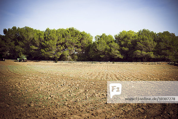 Spanien  Balearen  Formentera  Feld mit Traktor