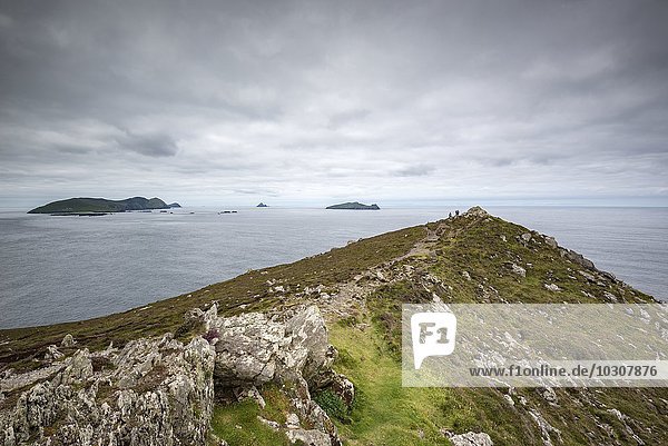 Irland  Grafschaft Kerry  Dingle Peninsula  Blick auf die Atlantikküste