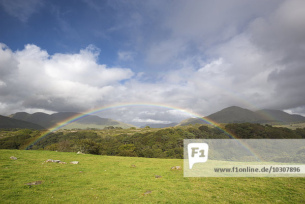 Irland  Grafschaft Galway  Connemara Nationalpark  Regenbogen
