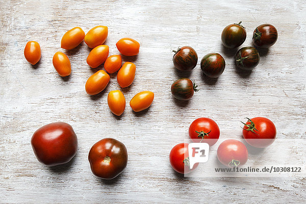 Verschiedene Tomaten  Zebrino  Ebeno  Devotion und gelbe Kirschtomaten
