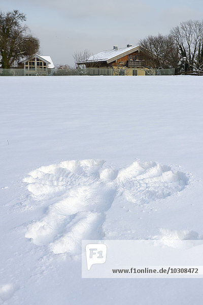 Deutschland  Bayern  Chiemsee  Insel Frauenchiemsee  Schneeengel auf Wiese