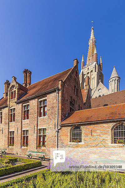 Belgium  Bruges  Old houses and spire of Onze-Lieve-Vrouwekerk