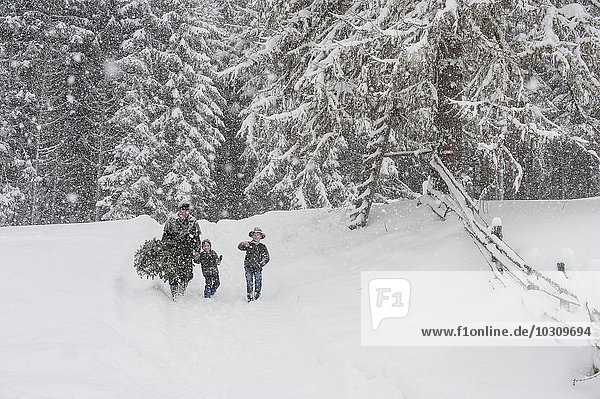Austria  Altenmarkt-Zauchensee  father with two sons carrying Christmas tree in winter landscape