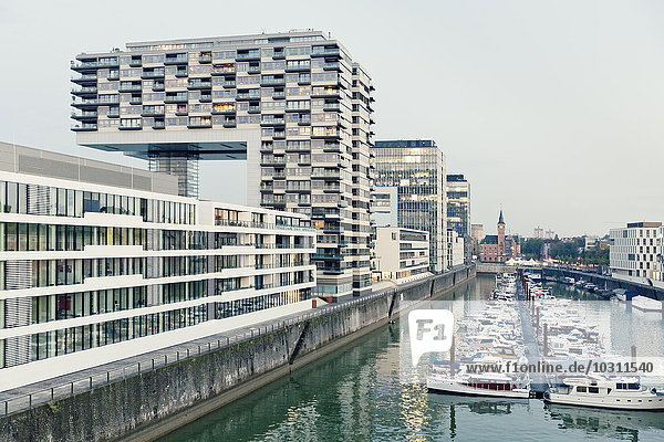 Deutschland  Köln  Kranhäuser und Marina