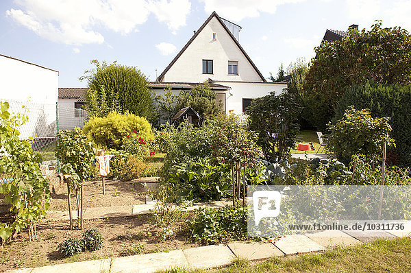 Deutschland  Einfamilienhaus mit Gemüsegarten im Vordergrund