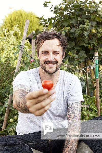 Porträt eines lächelnden Mannes mit Tätowierungen auf den Armen  der im Garten sitzt und Tomaten hält.