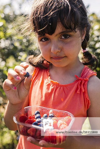 Porträt des kleinen Mädchens mit Plastikdose mit Himbeeren und Blaubeeren