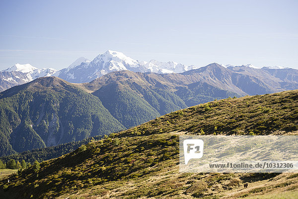 Italien Südtirol Gebiet Watles Blick auf die Ortler Alpen und den Ortlergipfel