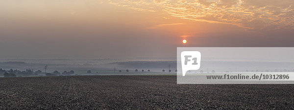 Deutschland  Niedersachsen  Königslutter  Sonnenaufgang im Herbst  Nebel