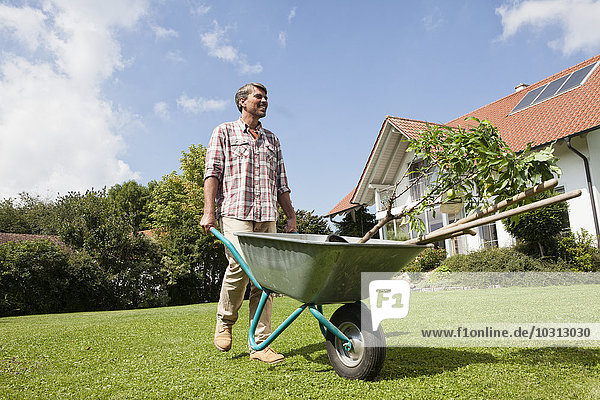 Man with wheelbarrow in garden