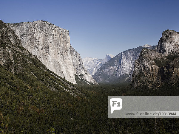 USA  Kalifornien  Yosemite Nationalpark  Blick auf El Capitan und Half Dome