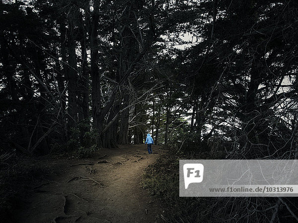 USA,  Kalifornien,  Big Sur,  kleiner Junge im Wald,  Julia Pfeiffer Burns State Park