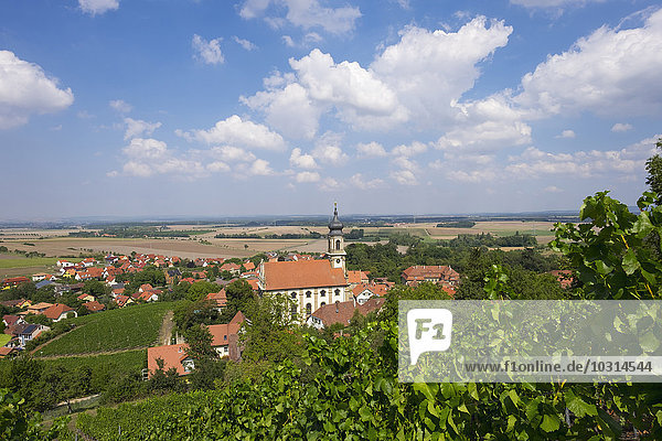Deutschland Bayern Castell Weinberg und Schlosskirche