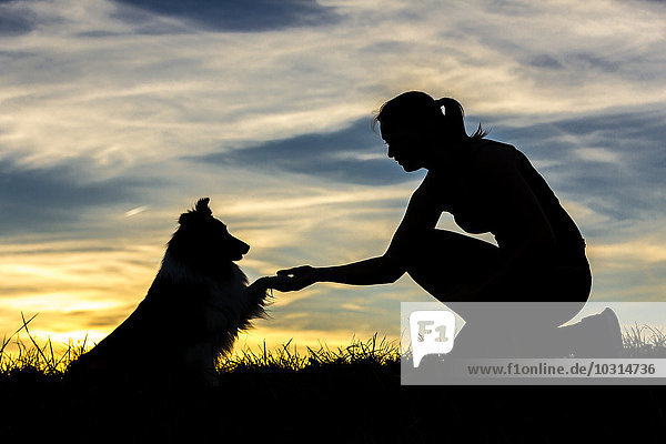 Deutschland  Frau mit Hund  Silhouetten bei Sonnenuntergang