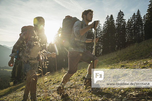 Österreich  Tirol  Tannheimer Tal  junges Paar beim Sonnenwandern auf der Alm