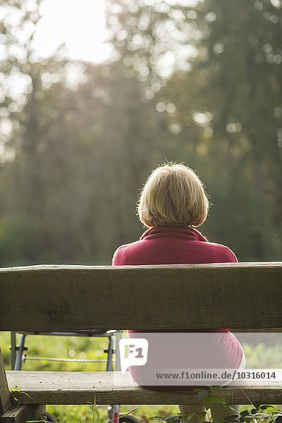 Senior woman sitting on a park bench  back view