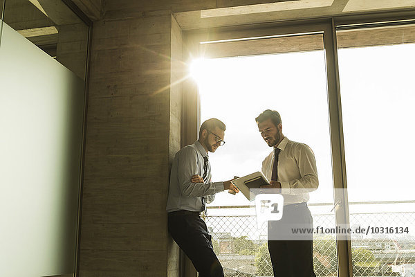 Two young businessmen talking at the window in office