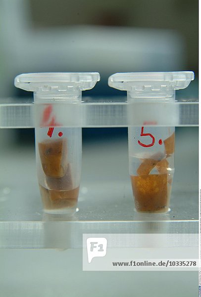 Eine Zigarette wird für die chemische Analyse der DNA vorbereitet.