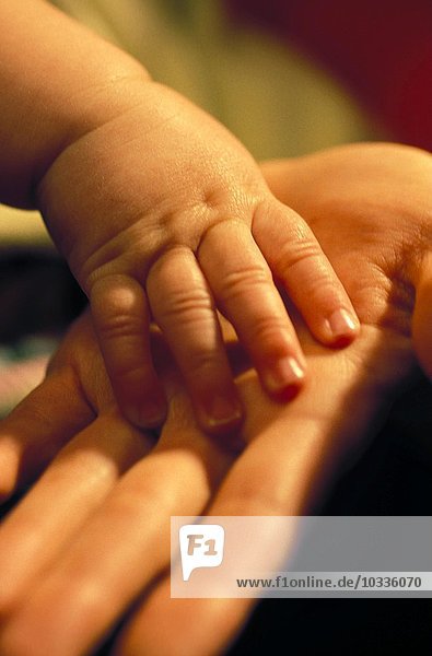 Eine Babyhand berührt die Hand einer erwachsenen Person