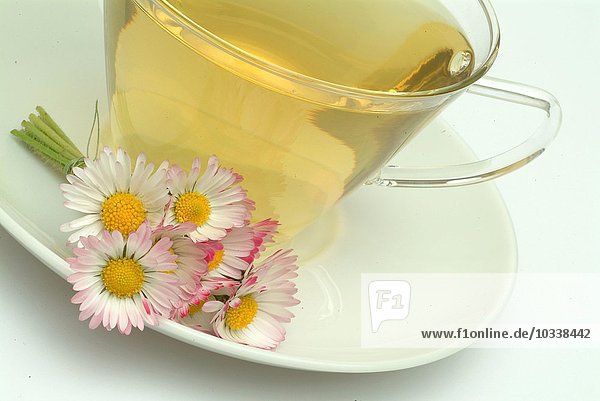Heiltee aus Gänseblümchen - Frische Blüten und Tasse Tee - Kräuter - Heilpflanze - Margheritina dei prati - Pratolina comune - te
