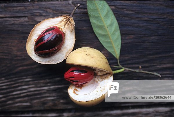 Grenada: Muskatnussäpfel. Grenada ist der zweitgrößte Muskatnussproduzent der Welt