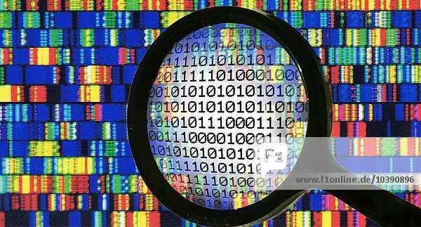 Erbe gut  Gen  Symbolbild. DNA-Sequenz  Gentechnik.