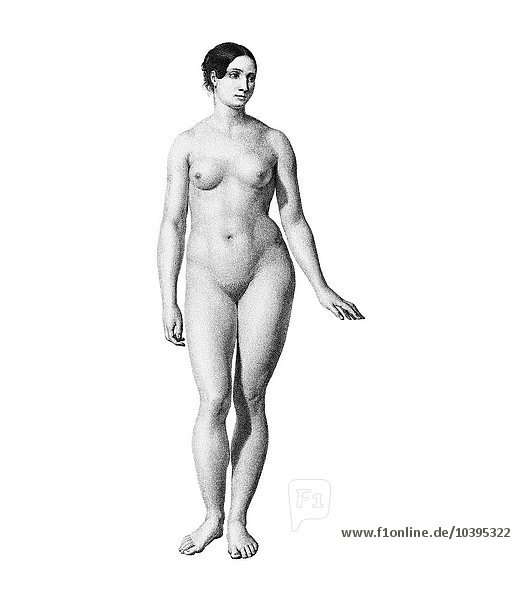 Female nude  artwork