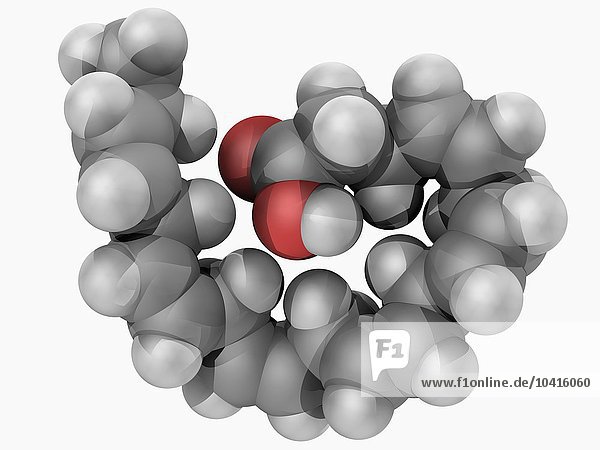 Docosahexaeonsäure-Molekül