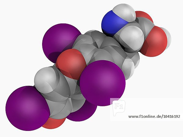 Molekül des Medikaments Levothyroxin