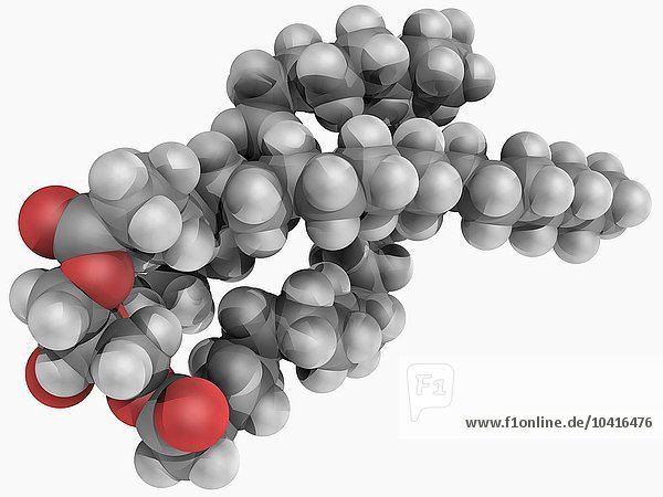 Triglycerid-Molekül
