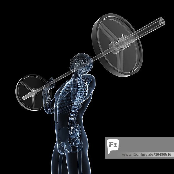 Gewichtheber. Computergrafik eines Gewichthebers mit hervorgehobenem Skelett.