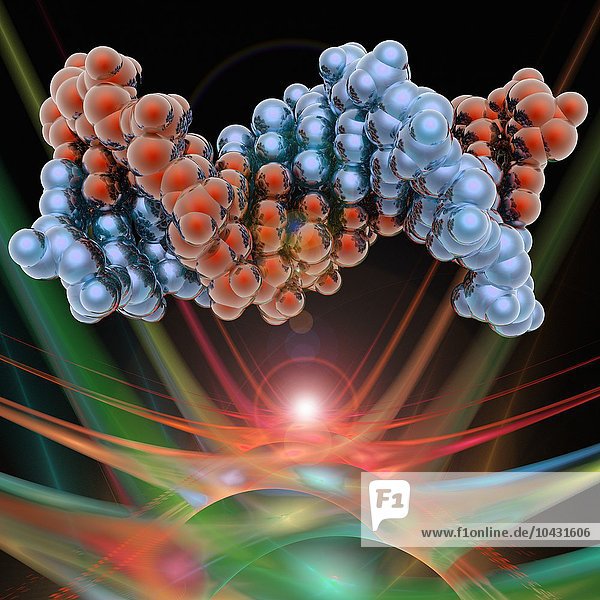 DNA-Molekül. Molekulares Modell der DNA (Desoxyribonukleinsäure).