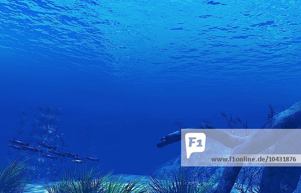 Underwater scene  computer artwork. Underwater scene  artwork
