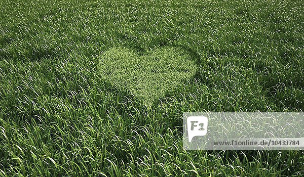 Herzförmiges Gras  Computerkunstwerk Herzförmiges Gras  Kunstwerk