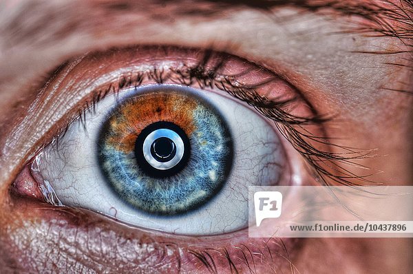 Extreme Nahaufnahme eines menschlichen Auges  braun und blau  menschliches Auge
