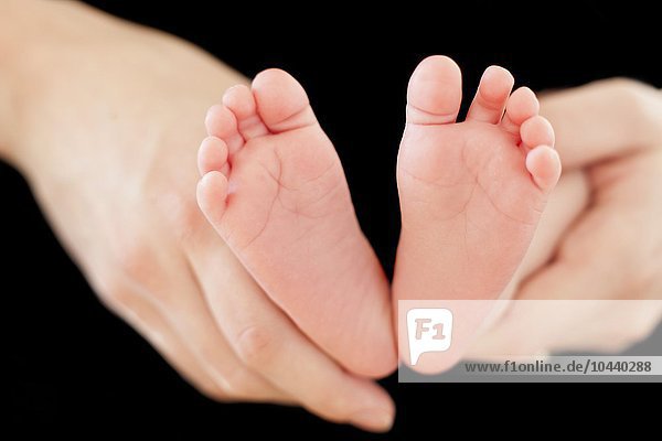 MODEL RELEASED. Baby's feet. Mother holding her 5 week old daughter's feet. Baby's feet