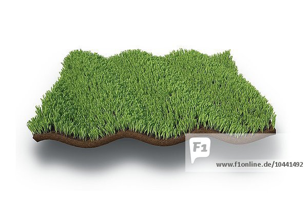 Ein isolierter gewellter Fleck Gras Gras  Kunstwerk