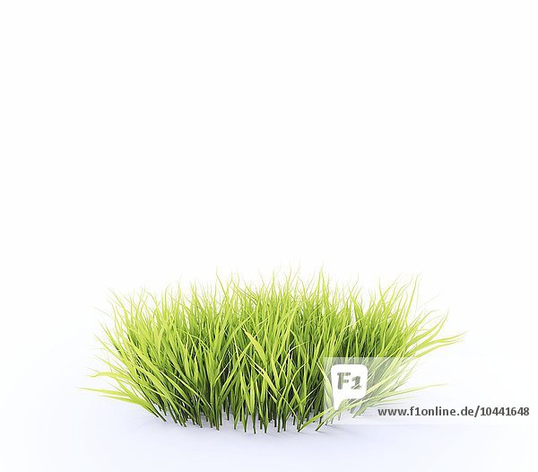 Kleines  rundes Stück frisches Gras Gras  Kunstwerk