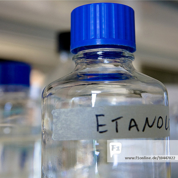 ethanol  istituto di ricerche farmacologiche mario negri  mailand  italien