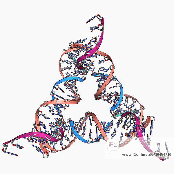 Selbstorganisiertes DNA-Dreieck. Molekulares Modell von DNA-Strängen (Desoxyribonukleinsäure)  die ein so genanntes Tensegrity-Dreieck bilden. Diese dreieckigen Untereinheiten setzen sich unter den richtigen Bedingungen selbst zusammen und bilden 3D-Strukturen. Die daraus resultierenden Kristalle und Muster finden Anwendung in der DNA-Nanotechnologie. Weitere Anwendungen sind die Entwicklung von Medikamenten und die Bestimmung der Struktur anderer Biomoleküle. Diese Forschungsarbeit wurde 2009 veröffentlicht: Self-assembled DNA triangle