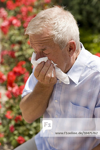 MODELL FREIGEGEBEN. Heuschnupfen. Bild 2 von 2: Ein Mann niest in ein Taschentuch. Er leidet an einer allergischen Reaktion auf Pollen in der Luft  einer Allergie  die als Heuschnupfen bekannt ist. Die Pollen wurden von Blumen freigesetzt (einige sind im Hintergrund zu sehen). Durch die allergische Reaktion entzünden sich die Augen- und Nasenschleimhäute  was zu tränenden Augen und Niesen führt. Eine Sequenz  die diesen Mann beim Niesen zeigt  finden Sie in den Bildern M320/419-420 Heuschnupfen