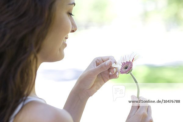 MODELL FREIGEGEBEN. Verliebte Frau pflückt die Blütenblätter von einer Blume Verliebte Frau