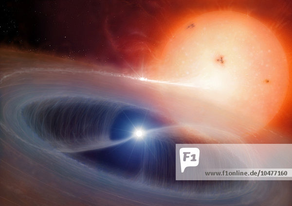 Intermediäres polares Doppelsternsystem. Kunstwerk  das einen Typ eines kataklysmischen veränderlichen Sternsystems zeigt  das als intermediärer Polarstern oder ^IDQ Herculis^i bekannt ist. Dieses System besteht aus einem Weißen Zwerg (unten in der Mitte  weiß) in gegenseitiger Umlaufbahn mit einem größeren Roten Zwerg (oben rechts). Das starke Gravitationsfeld des dichten weißen Zwergsterns zieht Material (heißes Gas) von seinem größeren Begleiter ab. Dadurch bildet sich eine Akkretionsscheibe (blau) um den Weißen Zwerg. Der Weiße Zwerg hat jedoch ein starkes Magnetfeld  und das Gas aus der Akkretionsscheibe wird zu seinen Polen gelenkt. Von Zeit zu Zeit bricht dieses heiße Gas auf der Oberfläche des Weißen Zwerges aus und lässt den Stern für kurze Zeit viel heller erscheinen. Polare Doppelsterne