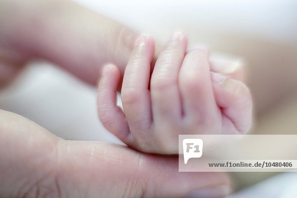 Premature baby's hand