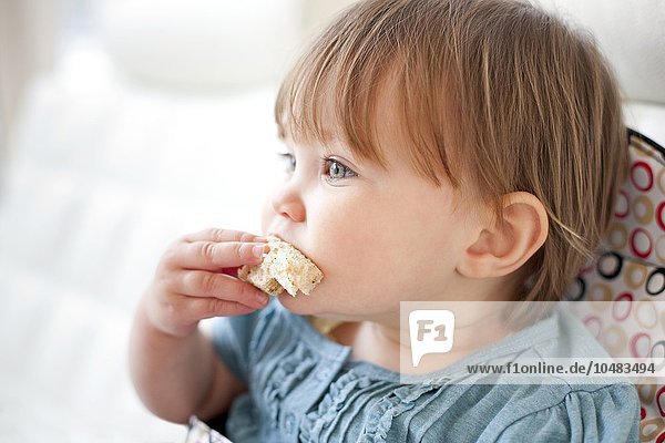 MODEL RELEASED. Toddler eating bread. She is 15 months old. Toddler eating