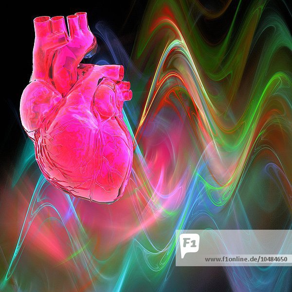 Menschliches Herz  Computer Kunstwerk Menschliches Herz  Kunstwerk