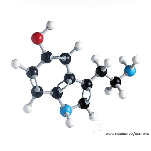 Molekül des Neurotransmitters Serotonin. Die Atome werden als Kugeln dargestellt und sind farblich gekennzeichnet: Kohlenstoff (schwarz)  Wasserstoff (weiß)  Stickstoff (blau) und Sauerstoff (rot). Serotonin-Neurotransmitter-Molekül