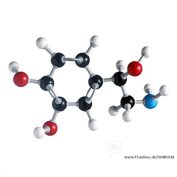 Noradrenalin-Molekül. Die Atome werden als Kugeln dargestellt und sind farblich gekennzeichnet: Kohlenstoff (schwarz)  Wasserstoff (weiß)  Stickstoff (blau) und Sauerstoff (rot). Noradrenalin-Molekül