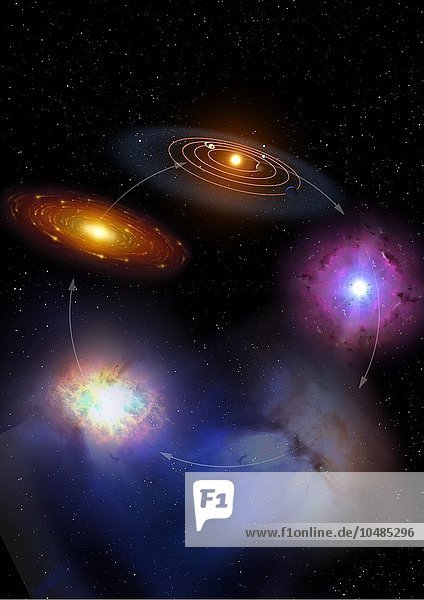 Das Bild zeigt die Phasen des Lebens und Sterbens eines Sternsystems und seine zyklische Natur. Rechts sehen wir einen Stern  der am Ende seines Lebens explodiert  eine Supernova. Während sich die Trümmerwolke ausdehnt  bildet sie einen diffusen Nebel und verbindet sich mit den anderen Gasen im interstellaren Medium. Später entstehen aufgrund von Turbulenzen und zufälligen Bewegungen im interstellaren Medium dichte Knoten - Regionen  die dichter sind als andere (unten links). Solche Regionen werden durch die Schwerkraft zusammengezogen und führen zur Bildung von protoplanetaren Scheiben und dann von Planetensystemen (oben). Wenn der Stern erloschen ist  beginnt der ganze Zyklus von vorn. Schema des stellaren Lebenszyklus