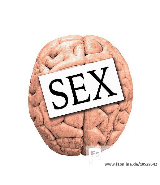 Sex im Kopf